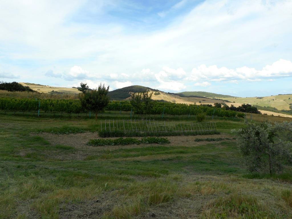 וולטרה Agriturismo Santa Bruna מראה חיצוני תמונה