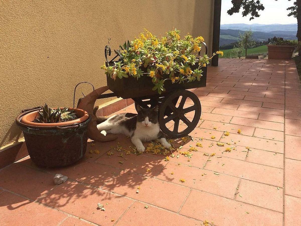 וולטרה Agriturismo Santa Bruna מראה חיצוני תמונה