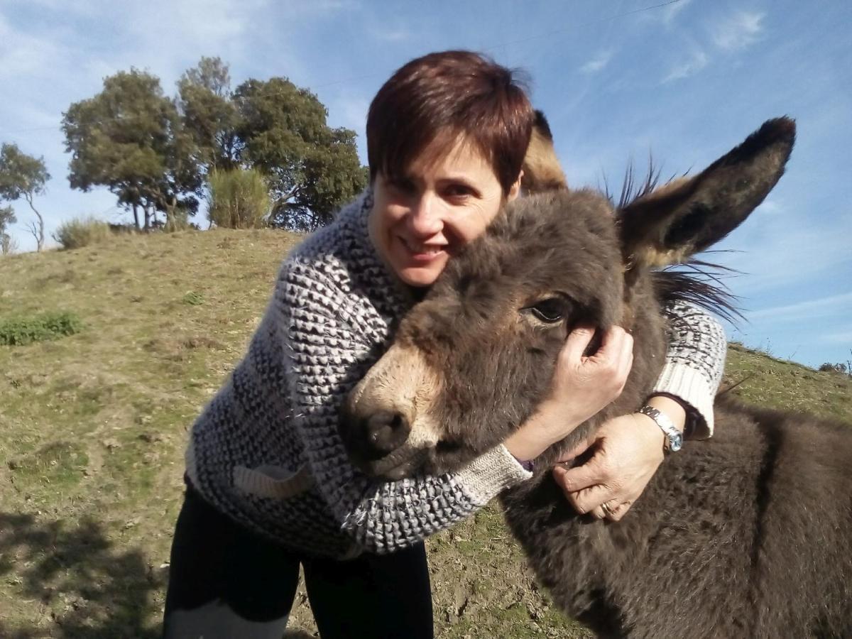 וולטרה Agriturismo Santa Bruna מראה חיצוני תמונה