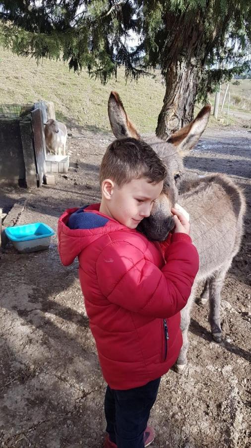 וולטרה Agriturismo Santa Bruna מראה חיצוני תמונה