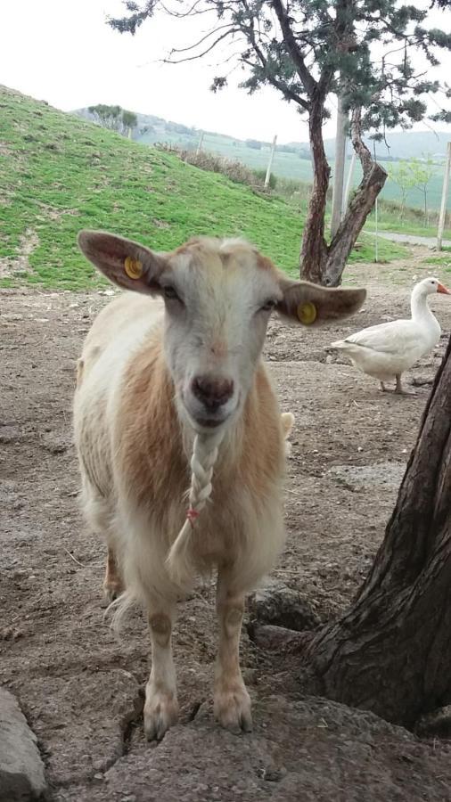 וולטרה Agriturismo Santa Bruna מראה חיצוני תמונה